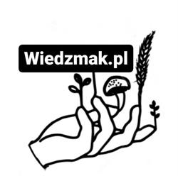 WiedźMak - vegetarian magic - bistro i catering - jedzenie na dowóz, Nowy Targ godziny otwarcia