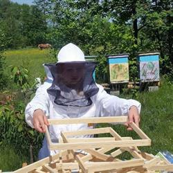 Pasieka Dzika Natura, Pruszków godziny otwarcia
