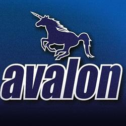 Avalon - Dystrybutor Akcesoriów Komputerowych, Pabianice godziny otwarcia