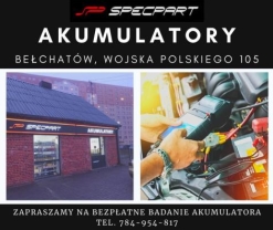 Polska Sieć Motoryzacyjna "Specpart" Sp. z o.o. Punkt Sprzedaży, Bełchatów godziny otwarcia