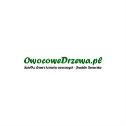 Szkółka Drzew Owocowych i Róż - Joachim Konieczko - Szkółka sadownicza, Górażdże godziny otwarcia