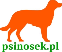 Szkoła dla psów "Psinosek", Zakopane godziny otwarcia