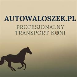 Autowaloszek - Wypożyczalnia Samochodów Częstochowa, godziny otwarcia