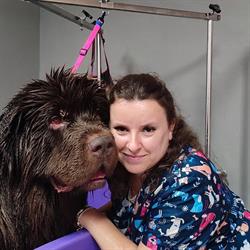 Diegolandia - Salon Pielęgnacji Zwierząt - Groomer, Warszawa - godziny otwarcia