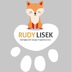 Rudy Lisek - Żłobek i Przedszkole, Białystok godziny otwarcia
