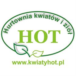 Hurtownia kwiatów i ziół HOT, Ciecierzyn godziny otwarcia