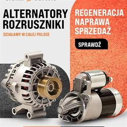 Elektro - Serwis Piotr Lewandowski, Płock godziny otwarcia