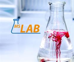 MS LAB Sp. z o.o., Rypin godziny otwarcia