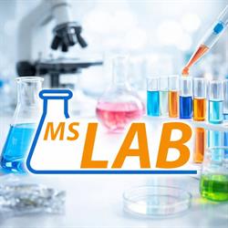MS LAB Sp. z o.o., Rypin godziny otwarcia