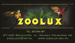 Zoolux Kamila Grodzka, Bełchatów godziny otwarcia