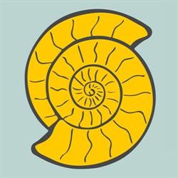 AudioStudio To-Ma-Tis, Łódź godziny otwarcia