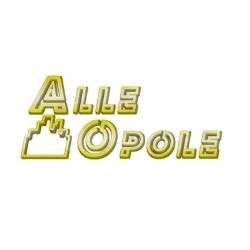 AlleOpole.pl, godziny otwarcia