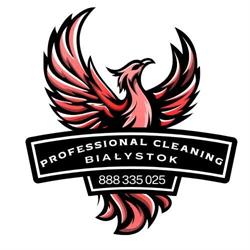 Professional Cleaning - Pranie Tapicerki Auto Detailing Mycie Okien, Białystok godziny otwarcia