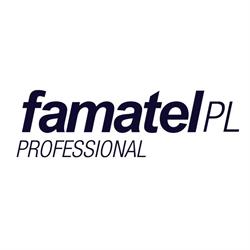 Famatel Polska Sp. z o.o., Bielawa godziny otwarcia