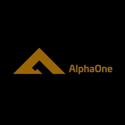 AlphaOne Defense & Security Advisors, Bystrzyca Kłodzka godziny otwarcia