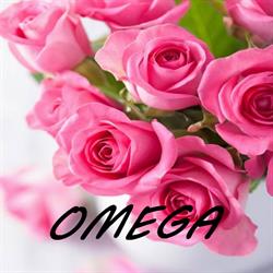 Kwiaciarnia Omega Arleta Bełezina Dołgorukow, Dobiegniew godziny otwarcia