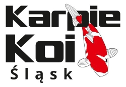 Japońskie Karpie Koi Śląsk- Sklep - Hodowla - Wysyłka, Bytom godziny otwarcia
