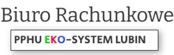 Biuro rachunkowe Lubin Kadry Eko-System, godziny otwarcia