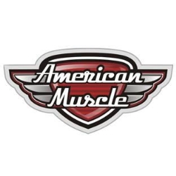 American Muscle Import samochodów z USA i naprawa aut amerykańskich Katowice, Mysłowice - godziny otwarcia