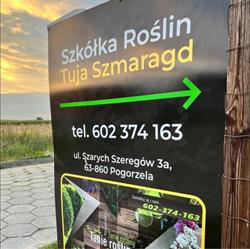 Szkółka Roślin Tuja Szmaragd, Pogorzela godziny otwarcia