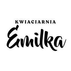 Kwiaciarnia Emilka, Skierniewice godziny otwarcia