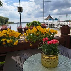 Amore mio Grill&pizza, Elbląg godziny otwarcia