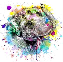 Nowoczesna Edukacja Elephant, Świecie godziny otwarcia