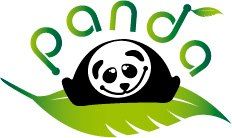 Niepubliczny Punkt Przedszkolny PANDA, Kraków godziny otwarcia