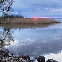 Nowe Guty Fun, Orzysz godziny otwarcia