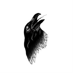Black Bird Agroturystyka, Wysoka Strzyżowska godziny otwarcia