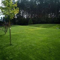 Garden Fantasy Sp. z o.o., Leszno godziny otwarcia