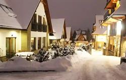 Domki Wisienka, Zakopane godziny otwarcia
