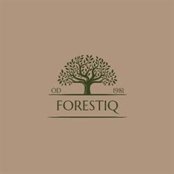 FORESTIQ - Producent wyrobów dla przemysłu drzewnego, Radomsko godziny otwarcia