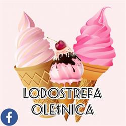 LODOstrefa, Oleśnica godziny otwarcia