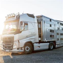 Livestock - Transport żywych zwierząt, Punkt Odpoczynku Zwierząt, Dębowica godziny otwarcia