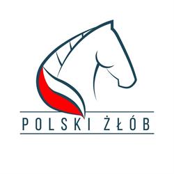 Polski Żłób, Zamość godziny otwarcia