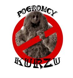 Firma sprzątająca Pogromcy Kurzu Toruń, godziny otwarcia