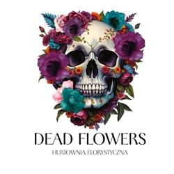 Hurtownia Florystyczna DEAD FLOWERS Jacek Kozieł, Kielce godziny otwarcia