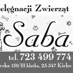 Salon pielęgnacji zwierząt SABA, Kielce godziny otwarcia