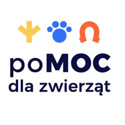 Fundacja poMOC dla zwierząt, Chorzów godziny otwarcia