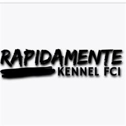 Rapidamente Kennel FCI, Głubczyce godziny otwarcia