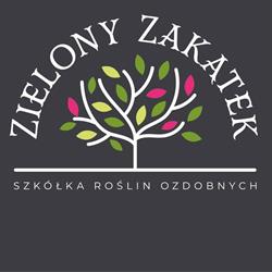 Szkółka Roślin Ozdobnych "Zielony Zakątek", Dąbrówka godziny otwarcia