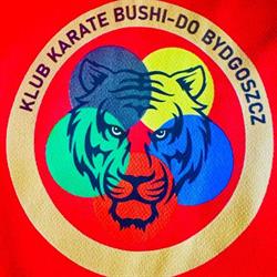 Karate Bushi-do Bydgoszcz, godziny otwarcia