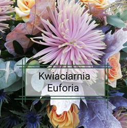Euforia, Pęgów godziny otwarcia