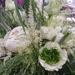 Kwiaciarnia "Jasminum", Stary Kisielin godziny otwarcia