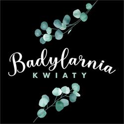 Kwiaciarnia Badylarnia, Wronki godziny otwarcia