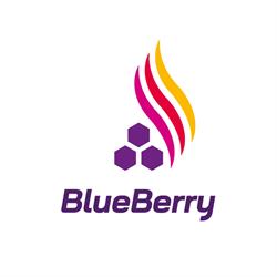Autoport Opatówek - Stacja paliw BlueBerry, godziny otwarcia