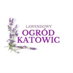 Lawendowy Społeczny Ogród Katowice, godziny otwarcia