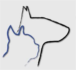Przychodnia Weterynaryjna Animals lek. wet. Kamila Majewska, Piła godziny otwarcia