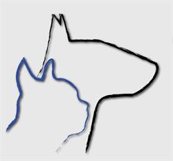 Przychodnia Weterynaryjna Animals lek. wet. Kamila Majewska, Piła godziny otwarcia